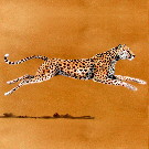 Thumb Laufender Gepard